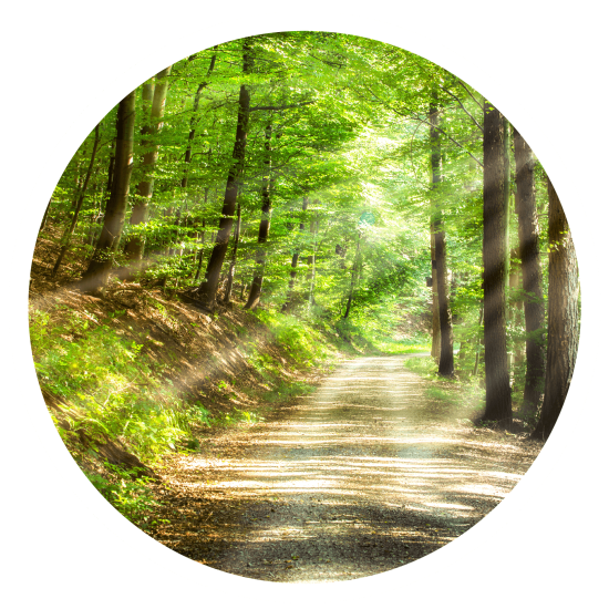 Coaching in freier Natur_Heike Prochazka - Coaching Wandelroute